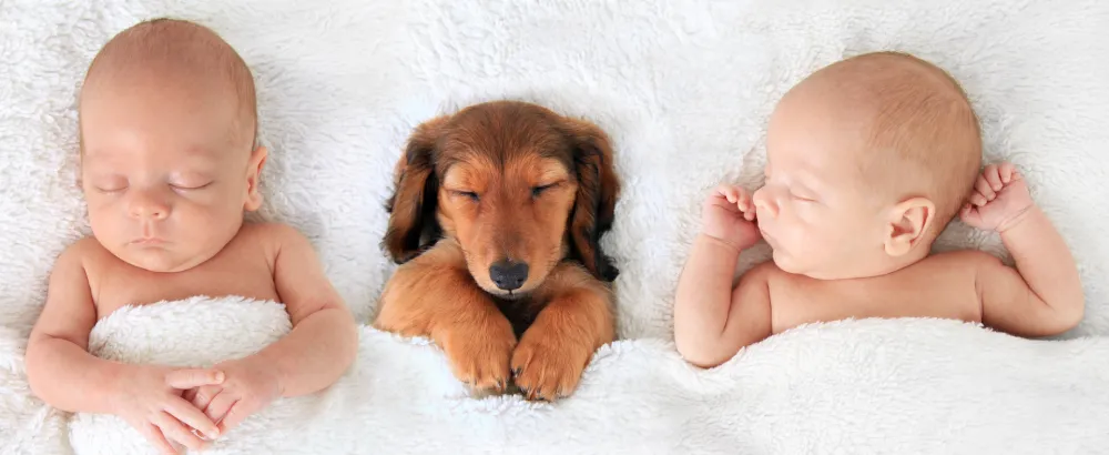 two babies and a dog sleeping next to each other
