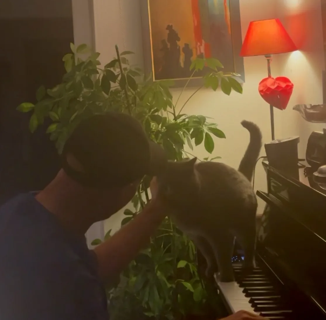 Philipp at the piano with his cat